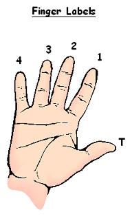 drawing of hand with finger number labels